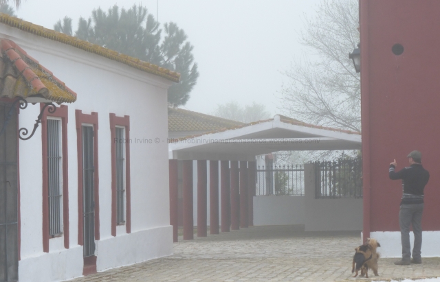 Joaquín and his dogs in the early morning mist. From the moment he wakes up he is in constant contact with the representative of the ranch, suppliers of things and services that are needed and also potential bull buyers.
